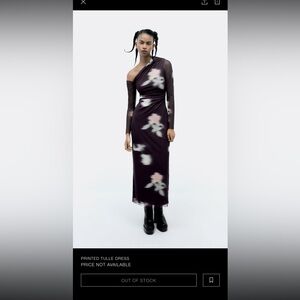 Zara Printer tulle dress